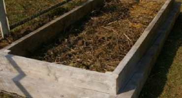 Jak udělat zahradu pro okurky na otevřeném poli vlastníma rukama